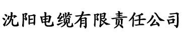 九热这里只有精品电缆厂logo